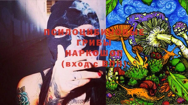 apvp Верея