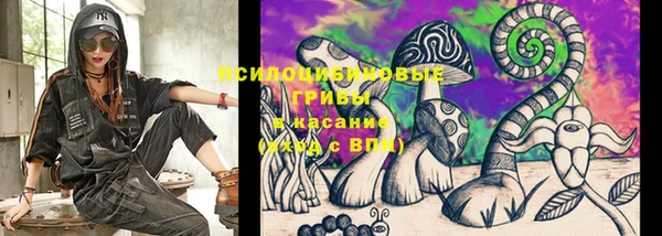 apvp Верея