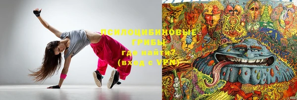 apvp Верея