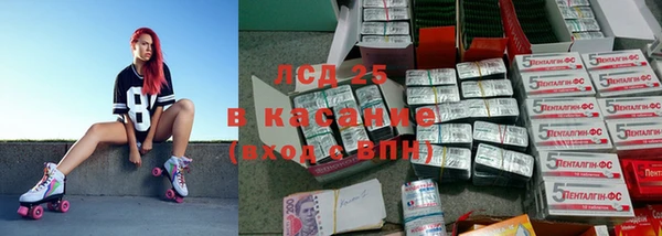 apvp Верея